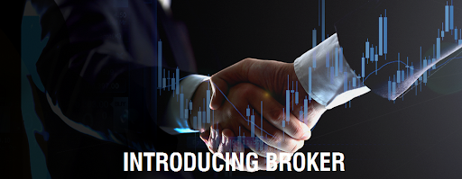 What is the difference between White Label and Introducing Broker?